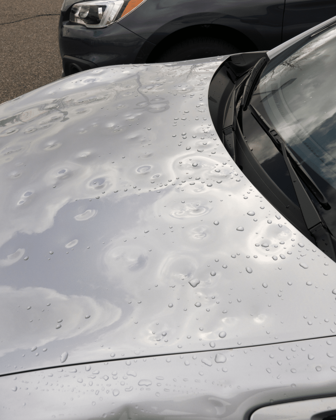 hail damage paintless dent repair on a car in Loveland, CO