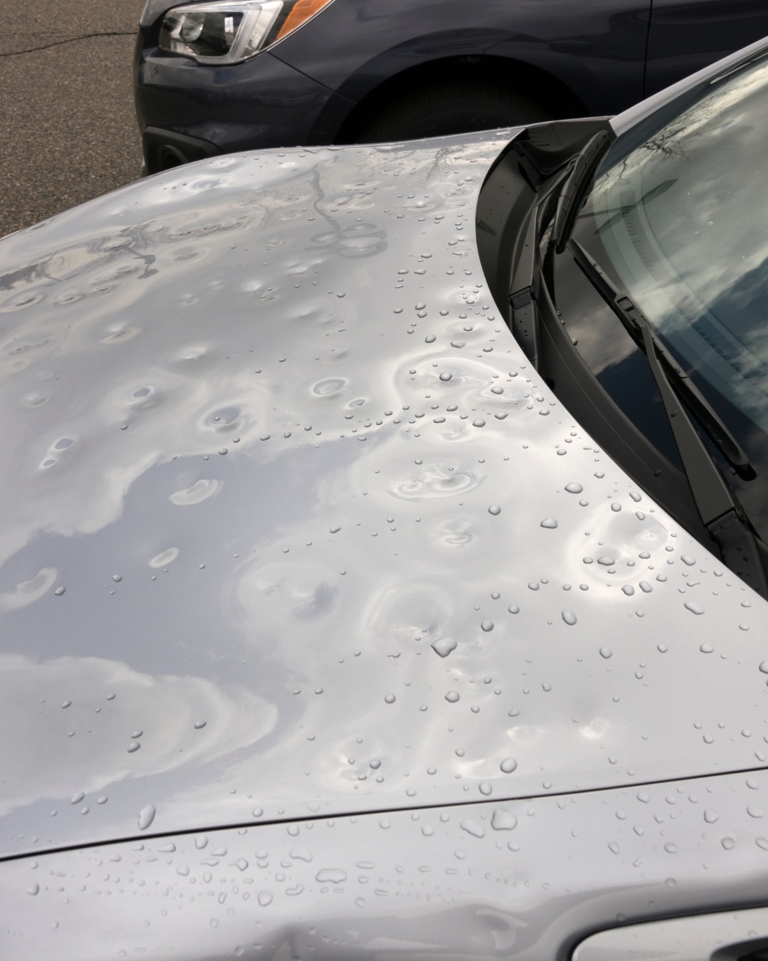 Paintless dent repair to fix hail damage on a vehicle in Northern Colorado